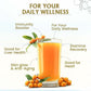 Herbal Canada Himalayan Sea Buckthorn Juice Pulp Concentrate 500ml | Rich in Natural Vitamin C, Omega 3 6 7 9, Antioxidants | Immunity, Skin Glow, Gut Health, No Added Sugar | Makes 50 Glasses Medlelo