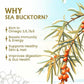 Herbal Canada Himalayan Sea Buckthorn Juice Pulp Concentrate 500ml | Rich in Natural Vitamin C, Omega 3 6 7 9, Antioxidants | Immunity, Skin Glow, Gut Health, No Added Sugar | Makes 50 Glasses Medlelo