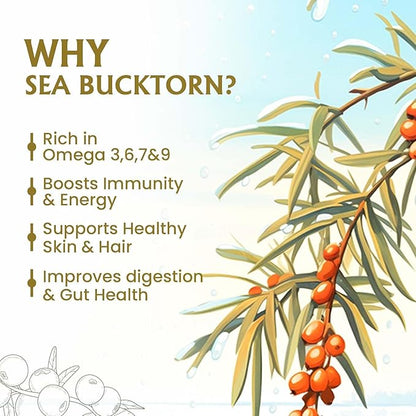 Herbal Canada Himalayan Sea Buckthorn Juice Pulp Concentrate 500ml | Rich in Natural Vitamin C, Omega 3 6 7 9, Antioxidants | Immunity, Skin Glow, Gut Health, No Added Sugar | Makes 50 Glasses Medlelo